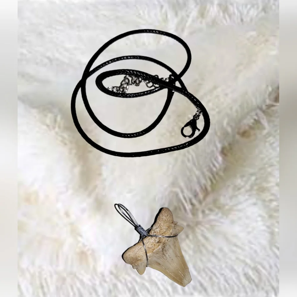 Fossilized Shark Tooth Pendant and Black Cord Leather Necklace